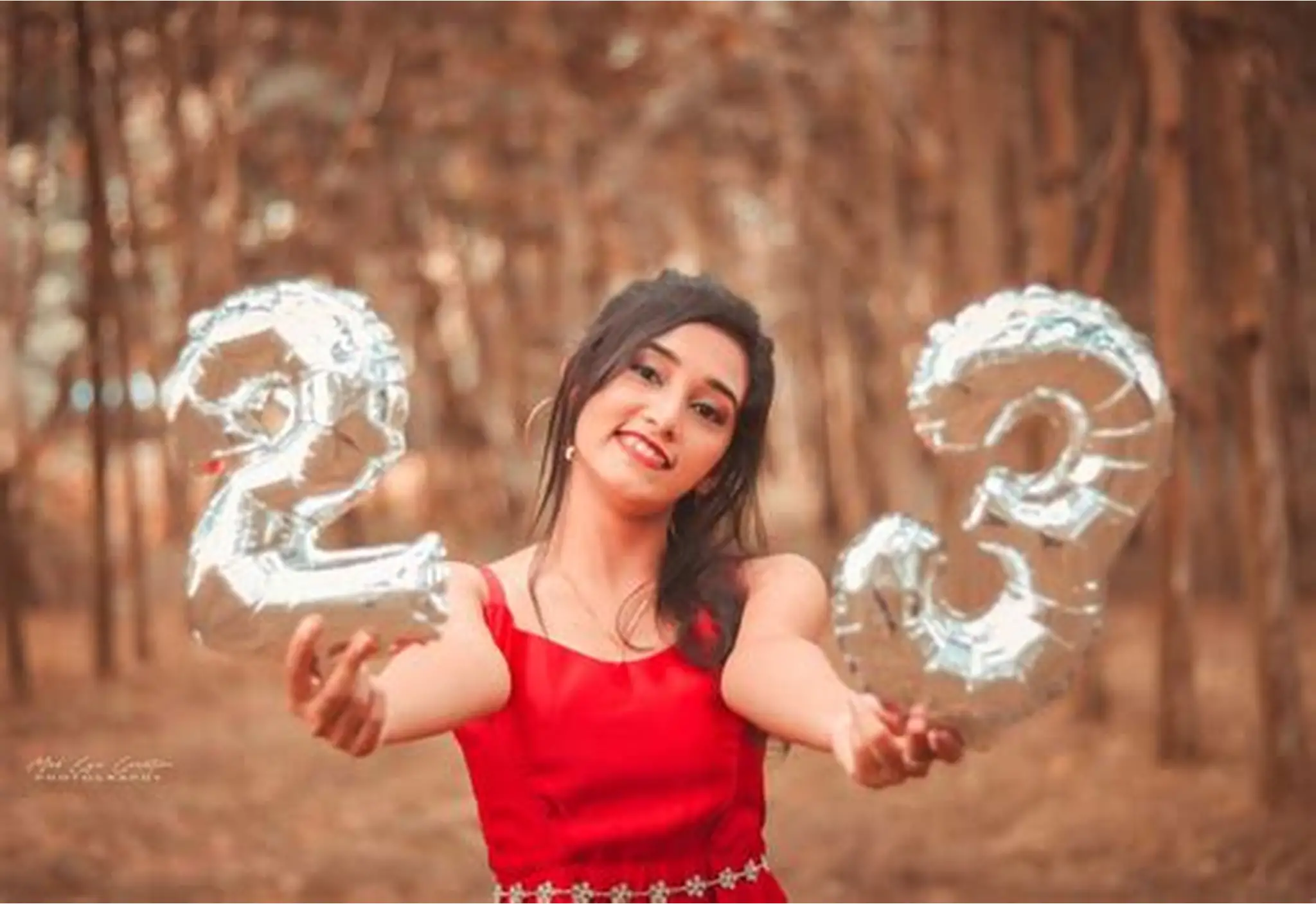 Portfolio Highlight 33